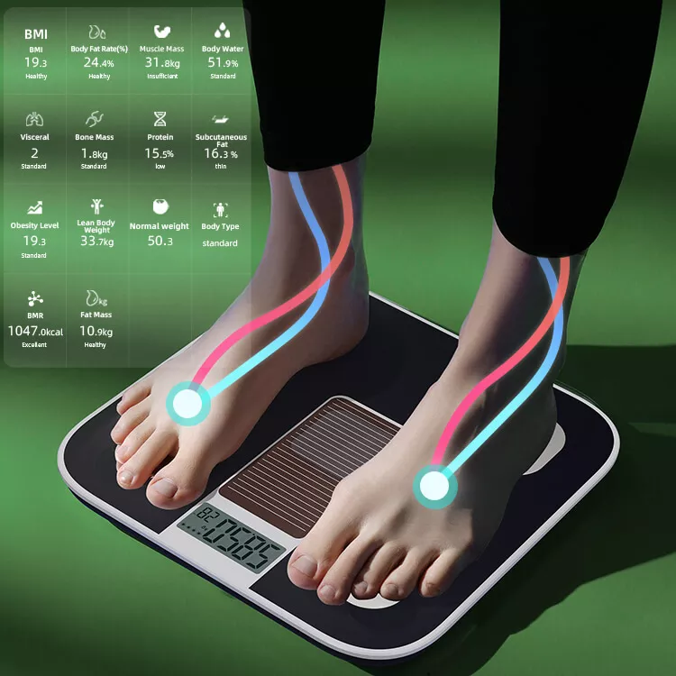 Body Fat Scale Bathroom Scales  Body Weighing Scale Bluetooth