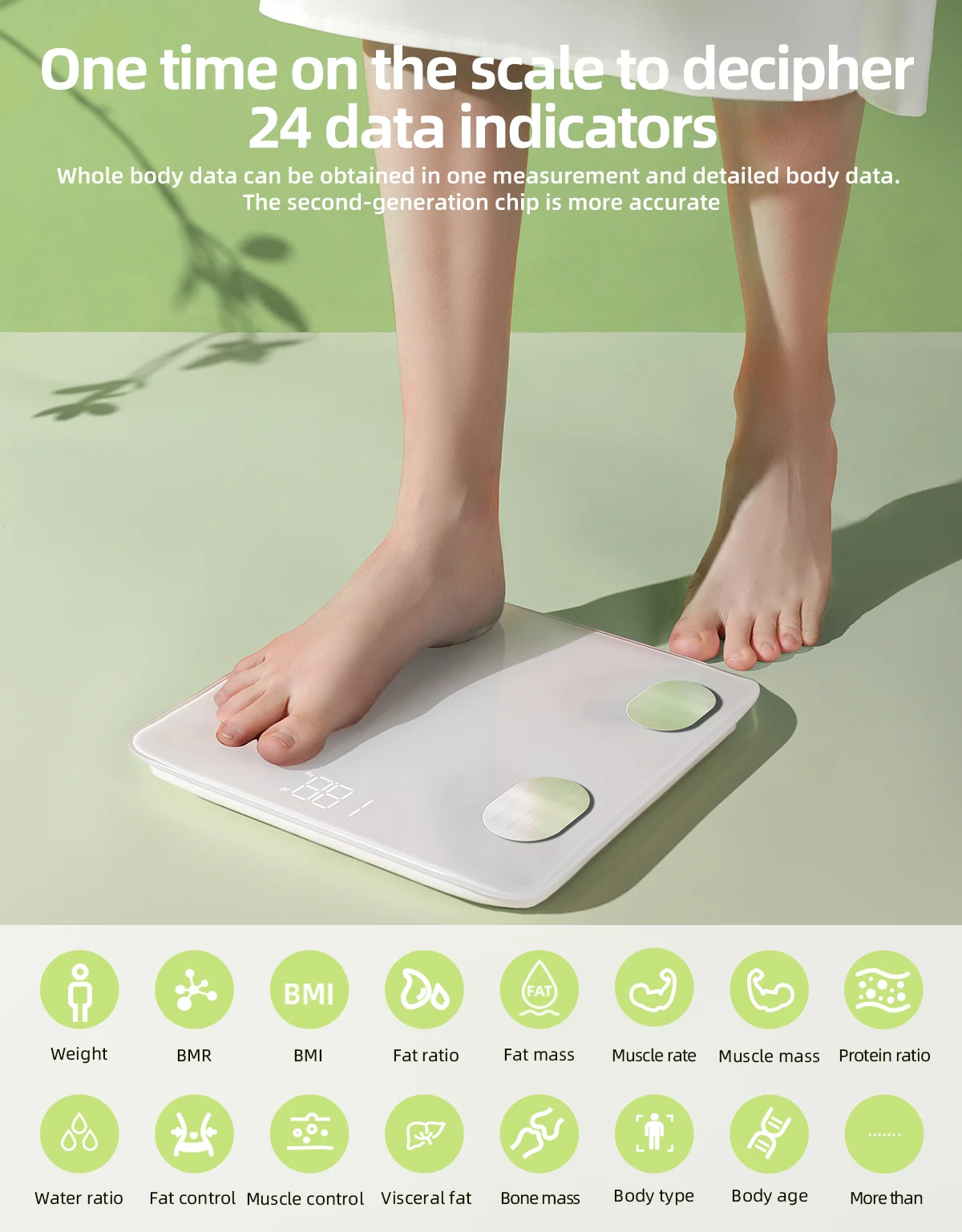 body composition and scale